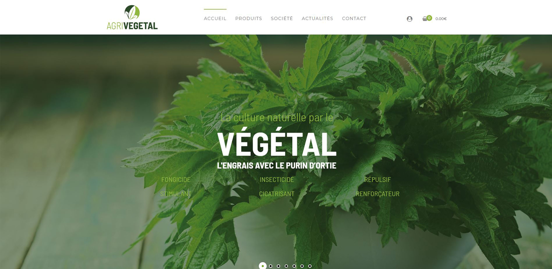 Screen de la page d'accueil du site AgriVégétal