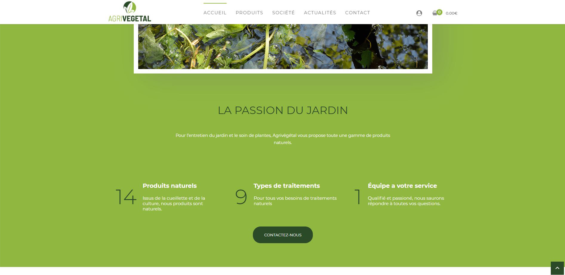 Screen de la page d'accueil du site AgriVégétal